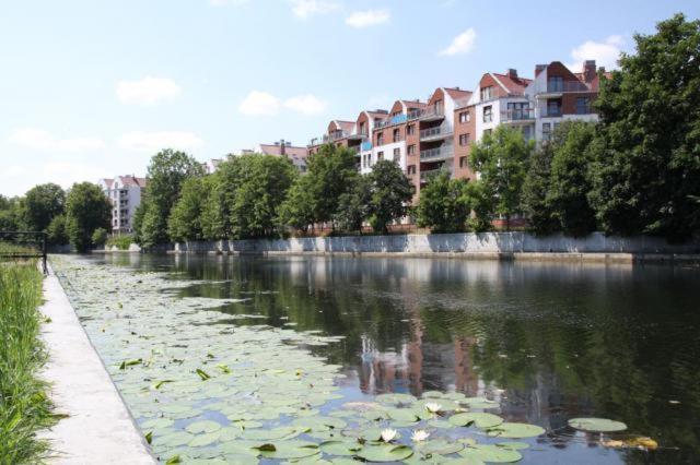 Apartament Bello - Free Parking Apartment กดัญสก์ ภายนอก รูปภาพ